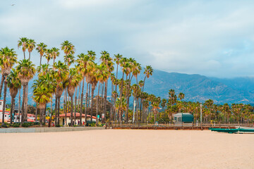 Palm trees on the shore, photographed from a pier in Santa Barbara, California