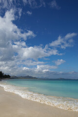 Fototapeta na wymiar ハワイの砂浜