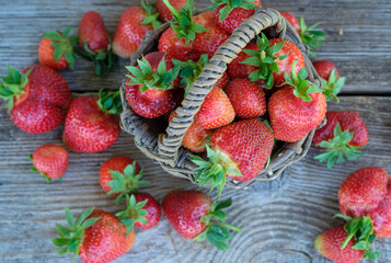 ripe fresh garden strawberries in a wicker vintage basket on a wooden background

