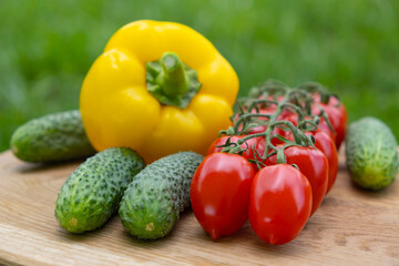 Fresh vegetables on wooden board
