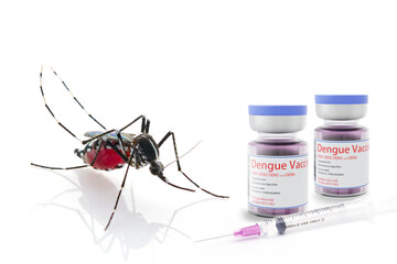Aedes aegypti mosquitoes with vial DHF vaccine concept for vaccine anti mosquitoes vector born...