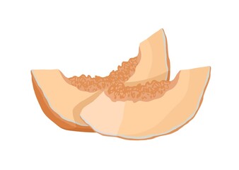 Sliced melon. Fruit illustration for farm market menu,  recipe, summer menu, invitations, posters, stickers and seasonal design. Healthy food design.