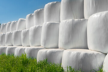 Country field with bales of hay wrapped in plastic bags on a sunny day against a blue sky