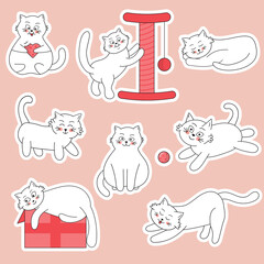 Set of white cats badges, patches, stickers. Comic fat pet in different poses. 