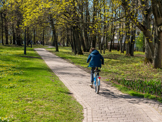 Bright sunny spring day in Kolomenskoye park, Moscow. Boy rides a bike on a path in a large park and enjoys the good weather on a May day.