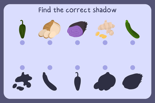 Matching children educational game with food - jalapeno, jicama, ube, ginger, zucchini. Find the correct shadow. Vector illustration.