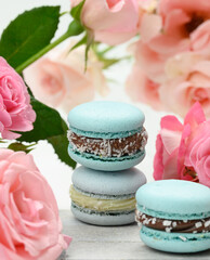 Obraz na płótnie Canvas blue macarons lie on a background of pink roses