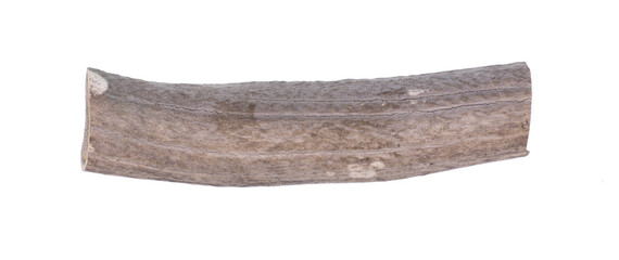 sawn animal horn isolated on white background