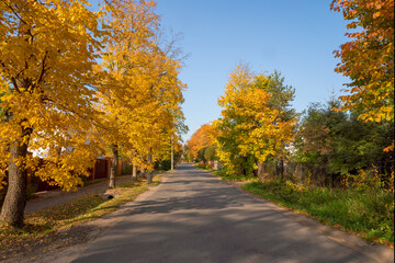 Fototapeta na wymiar Village in autumn. Russian village road. Paved road through the dacha village in the fall