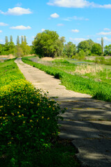 Fototapeta na wymiar Path in the village, Ukrainian countryside landscape on summer.