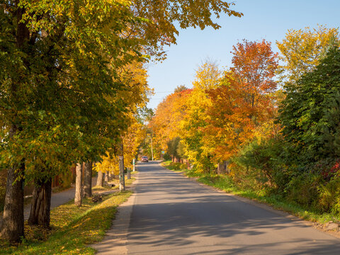 Village in autumn. Russian village road. Paved road through the dacha village in the fall