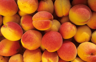 Marillen, bildfüllend