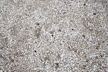 Stone texture. Background texture of small white stones on beach