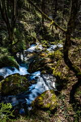 Myrawasserfälle, Niederösterreich (Austria)