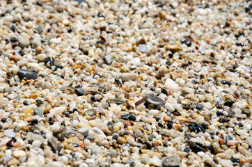 Selective focus multi-colored pebbles on the seashore. Sea stones of various sizes cover the seaside. Pebble texture. Natural background concept. Surface of the rocky beach.