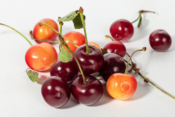 Cherry with leaves in closeup