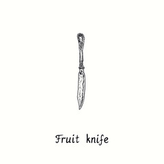 Fruit knife with retro style decor. Ink black and white drawing  woodcut vintage style  illustration