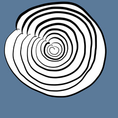 shell, abstract spiral, connection to the cosmos, otherworldly connection, subtle world