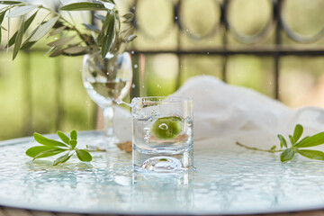 Homemade summer cocktail. Hard seltzer with green olive. Summer background. Elegant cocktails on the background. Decorative green leaves and branch of an olive tree in a glass. Glyph of Purification.