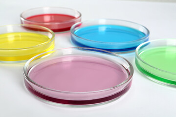 Petri dishes with colorful liquids on white background, closeup