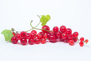 Red currants on a white background. Ripe and tasty berries.