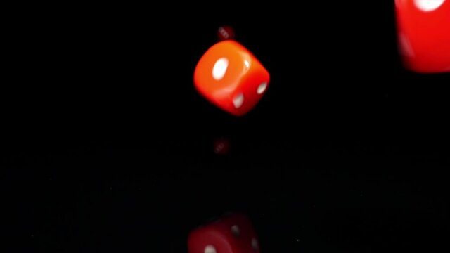 Dice dropping and bouncing in slow motion. Сlose-up.