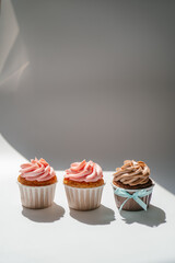 Cupcakes on a white sunny background with a shadow.