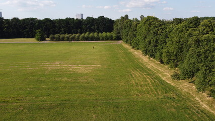 Low angle drone view of downtown. city park aerial.