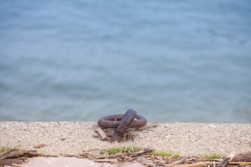 Selective blur on a rusty boat mooring ring on a quay, a wharf pier by a river next to the sea, used to anchor ships to the ground. ...