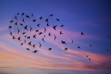 Soft focus bird heart shape with Cloud sky pastel abstract orange, purple and blue gradient blurred. soft focust canopy. wallpaper sweet soft landscape. for valentine day or broken heart concept.