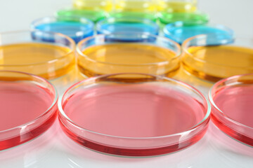 Petri dishes with colorful liquids on white table, closeup