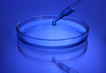 Dripping reagent into Petri dish with sample on table, toned in blue