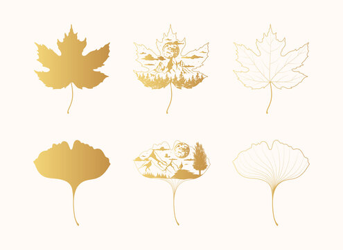 Set of golden maple and ginkgo biloba leaves silhouette, outline and mystical design. Celestial icons with mountain, clouds, moon and forest. Gold magical elements.