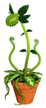 3D Rendering Carnivorous Plant on White