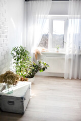 The interior of the living room in light colors