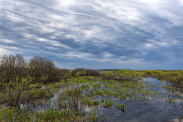 Evening landscape with a lake with young greenery in the foreground. Spring landscape, cloudy sky over the lake. Green bushes and grass in the water.