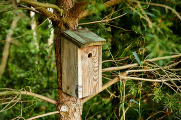 wood bird house hanging on a tree