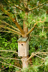 wood bird house hanging on a tree