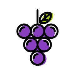 Grapes fruit icon. Black icon. Vector illustration.