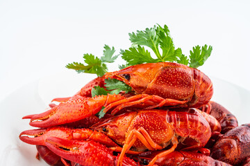 Delicious crayfish on a plate on white background
