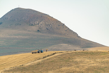 Farmers harvesting hay in the field