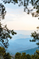Fototapeta na wymiar Beautiful mountain layers with blue sky background, and pine leafs frame around the image.