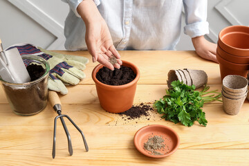 Woman sowing parsley seeds into soil on wooden table - obrazy, fototapety, plakaty