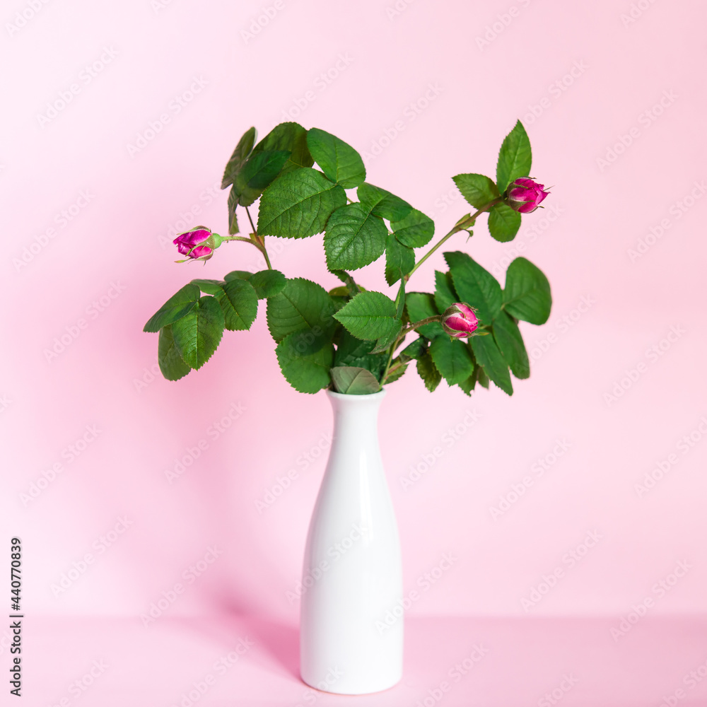 Poster Bouquet of  wild roses in a vase on a pink background.	