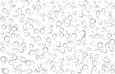 Oxygen air bubbles  flow  in water on white  background.