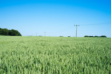 beautiful vast landscape, green fields and blue sky on a sunny summer day in Mecklenburg Western Pomerania