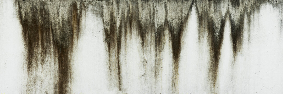 The white cement wall with rain stains.
