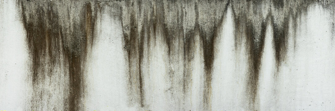 The white cement wall with rain stains.