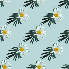 Seamless summer pattern with chamomile flower. White daisy flower on light blue background.