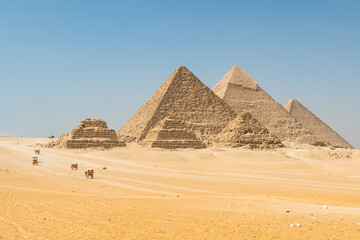 A Spectacular View of the Famous Giza Pyramids (Cairo, Egypt) on a Sunny Spring Afternoon - obrazy, fototapety, plakaty